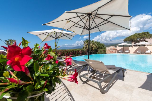 Une zone de piscine sereine avec des chaises longues, des parasols et des fleurs éclatantes sous un ciel bleu dégagé. Parfait pour se détendre.