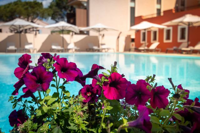 Vibrante lila Blumen vor einem funkelnden Pool mit Sonnenschirmen und Liegestühlen in einer sonnigen, ruhigen Umgebung.