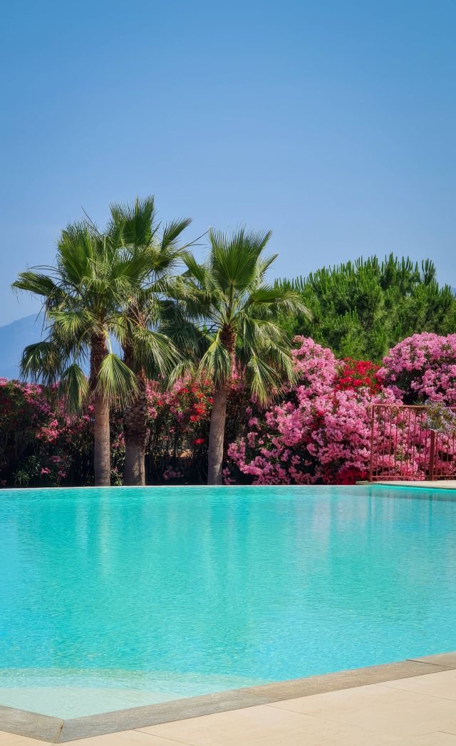 Une piscine sereine reflète un ciel dégagé, entourée de fleurs roses vibrantes et de palmiers, créant ainsi une oasis tropicale.